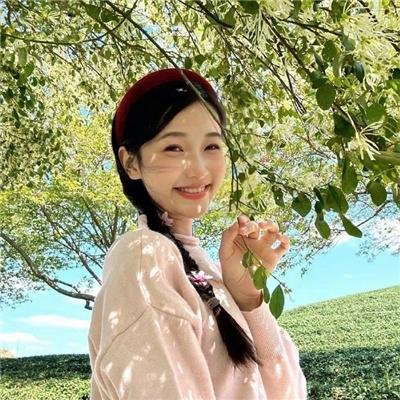 山河披锦绣