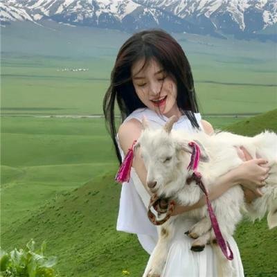解码游戏