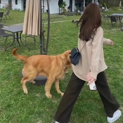 爱很真水很深