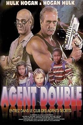 功夫状元 封面图